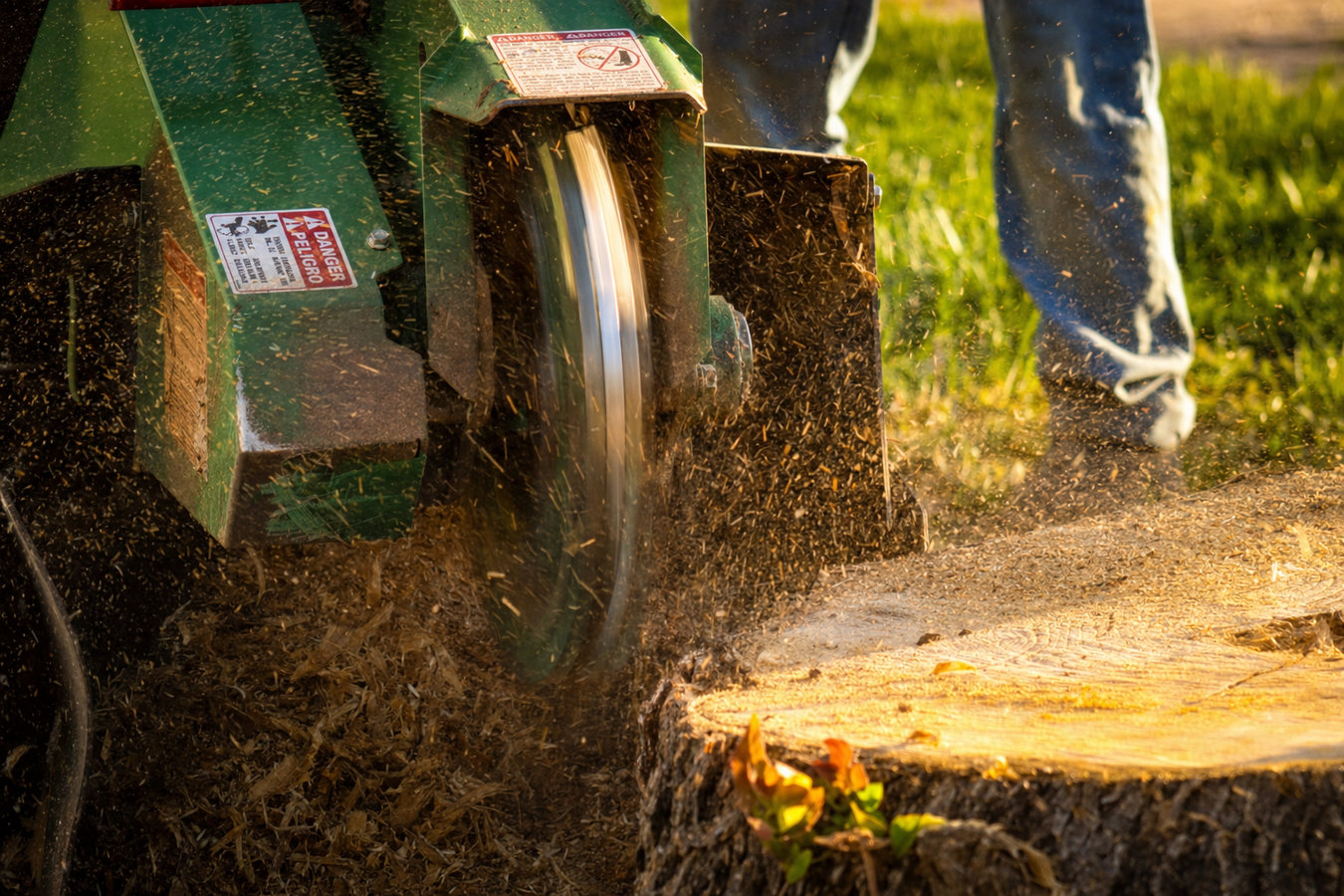 Stump grinding in Seaside, CA